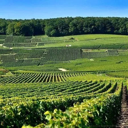 La Maison Du Lac En Champagne Hébergement de vacances